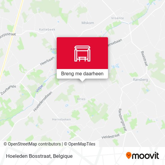 Hoeleden Bosstraat kaart