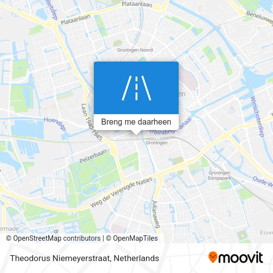 Theodorus Niemeyerstraat kaart