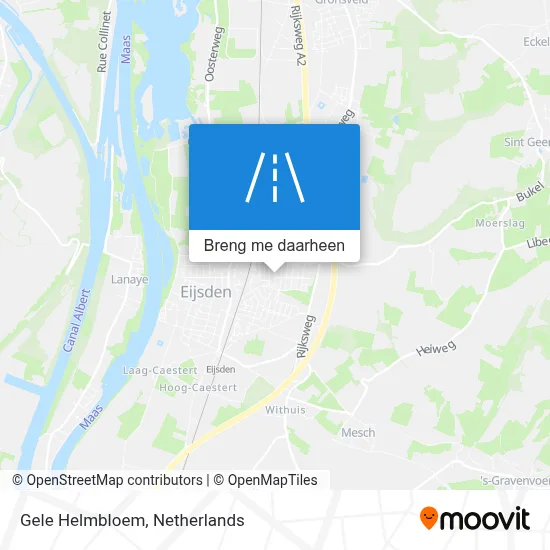 Gele Helmbloem kaart