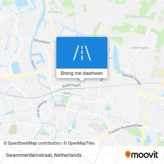 Swammerdamstraat kaart