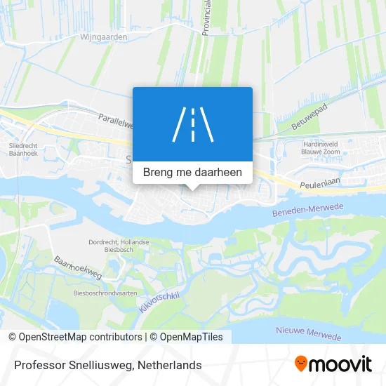 Professor Snelliusweg kaart