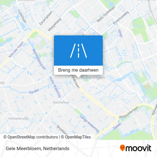 Gele Meerbloem kaart