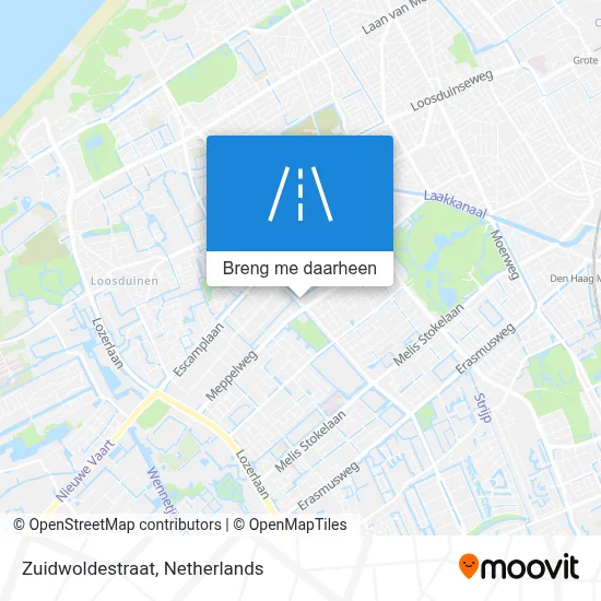 Zuidwoldestraat kaart