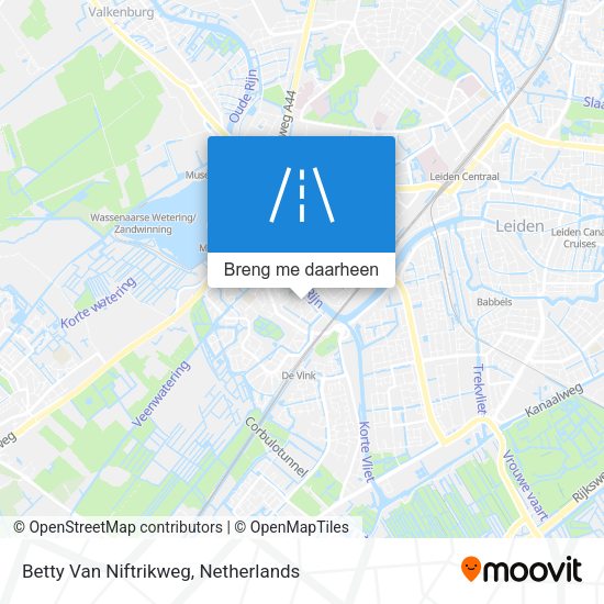 Betty Van Niftrikweg kaart