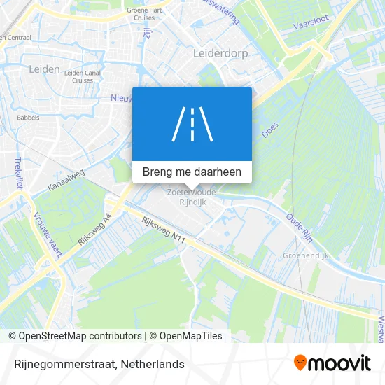 Rijnegommerstraat kaart