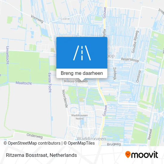 Ritzema Bosstraat kaart