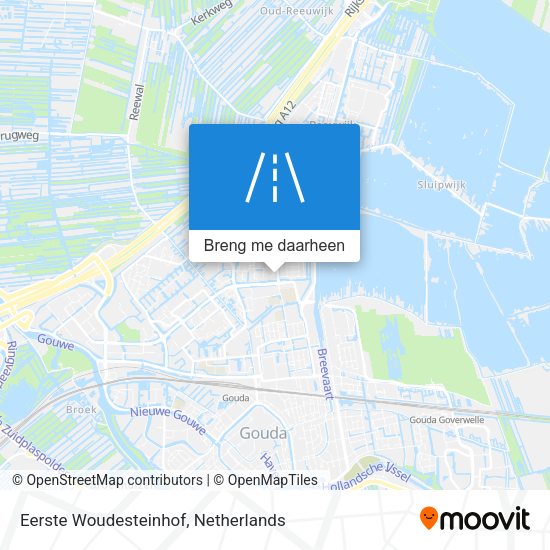 Eerste Woudesteinhof kaart