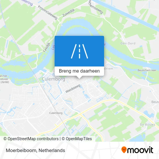 Moerbeiboom kaart