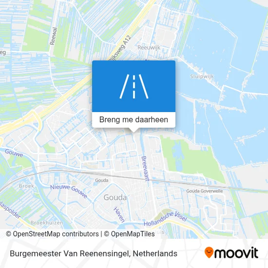 Burgemeester Van Reenensingel kaart