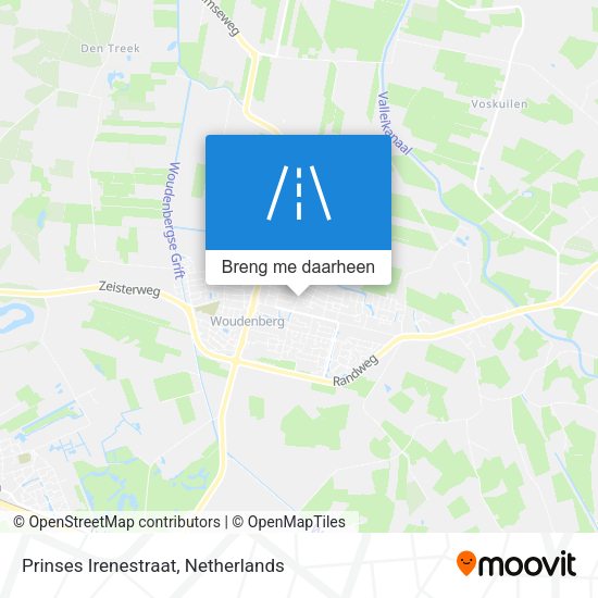 Prinses Irenestraat kaart