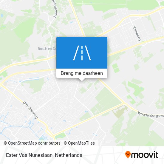 Ester Vas Nuneslaan kaart