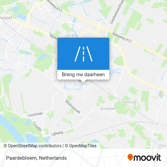 Paardebloem kaart