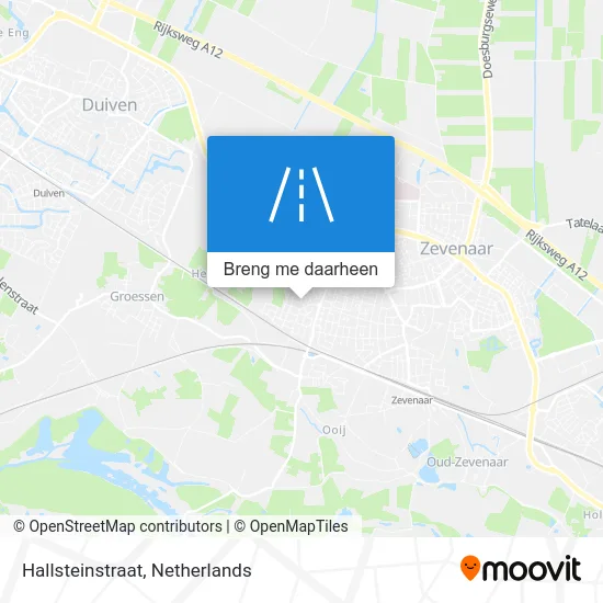 Hallsteinstraat kaart