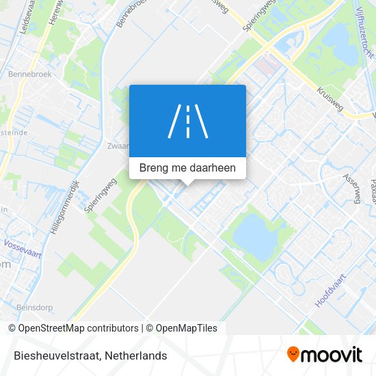 Biesheuvelstraat kaart