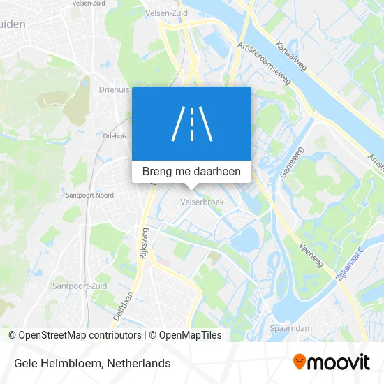 Gele Helmbloem kaart