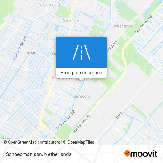 Schaepmanlaan kaart