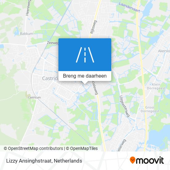 Lizzy Ansinghstraat kaart