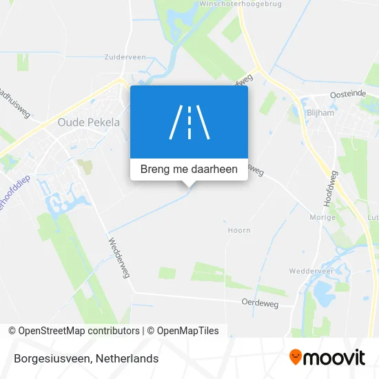 Borgesiusveen kaart