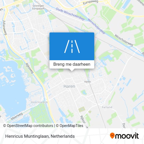Henricus Muntinglaan kaart