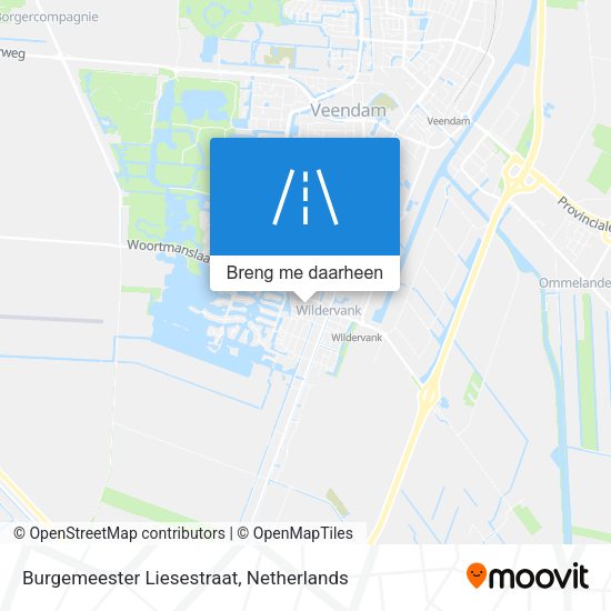 Burgemeester Liesestraat kaart