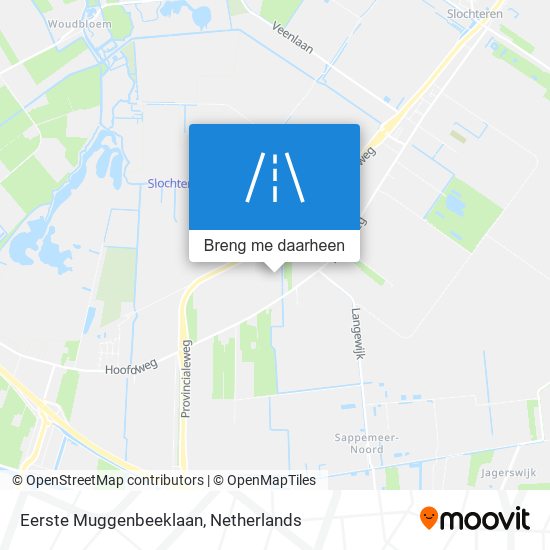 Eerste Muggenbeeklaan kaart