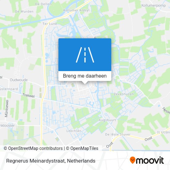 Regnerus Meinardystraat kaart