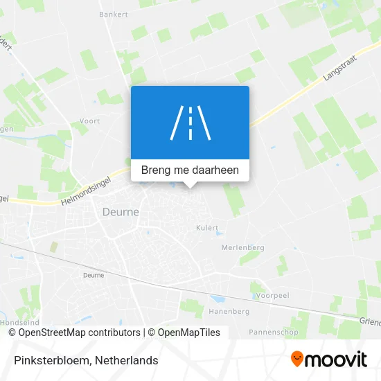 Pinksterbloem kaart