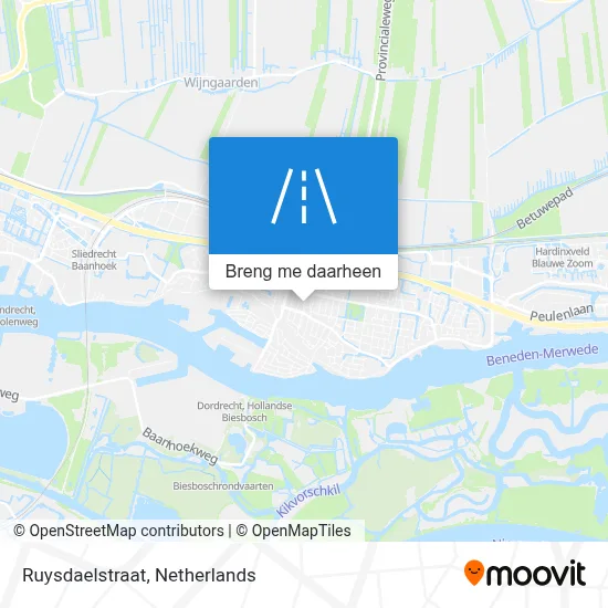 Ruysdaelstraat kaart