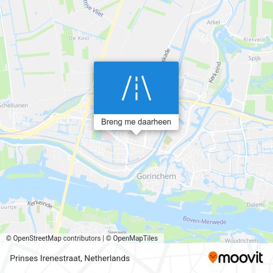 Prinses Irenestraat kaart