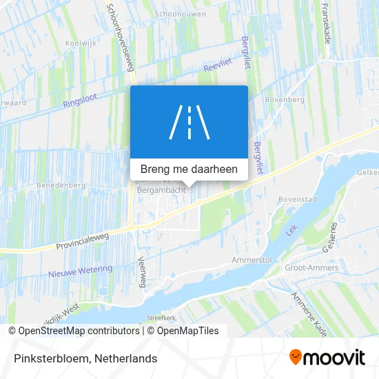 Pinksterbloem kaart