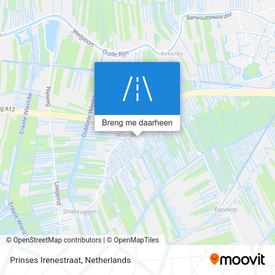 Prinses Irenestraat kaart