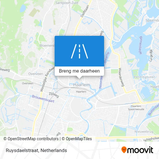 Ruysdaelstraat kaart