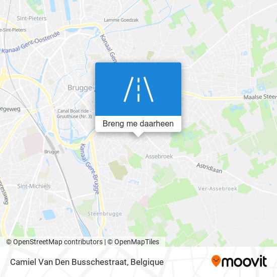 Camiel Van Den Busschestraat kaart