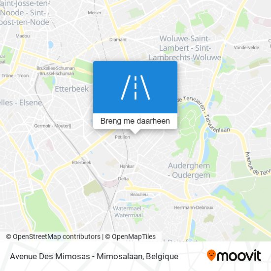 Avenue Des Mimosas - Mimosalaan kaart