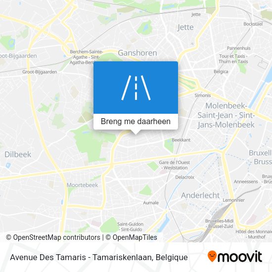 Avenue Des Tamaris - Tamariskenlaan kaart