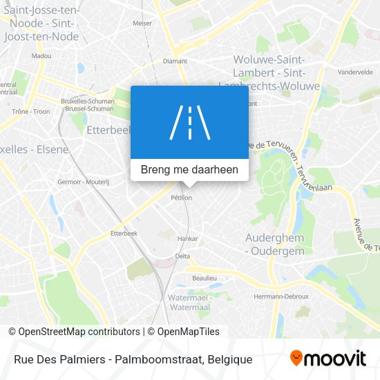 Rue Des Palmiers - Palmboomstraat kaart