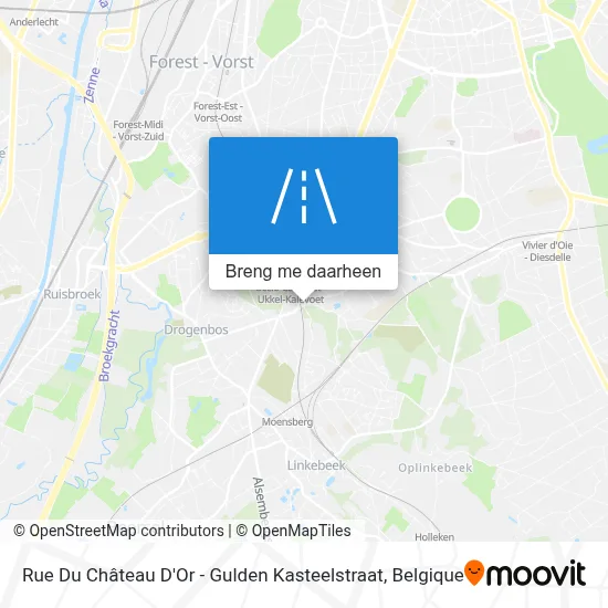 Rue Du Château D'Or - Gulden Kasteelstraat kaart