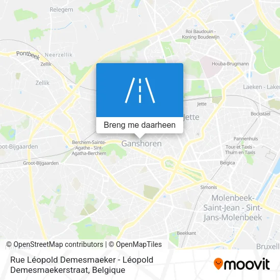 Rue Léopold Demesmaeker - Léopold Demesmaekerstraat kaart