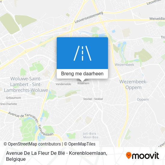 Avenue De La Fleur De Blé - Korenbloemlaan kaart