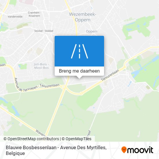 Blauwe Bosbessenlaan - Avenue Des Myrtilles kaart