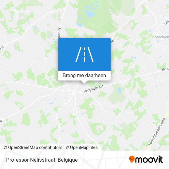 Professor Nelisstraat kaart