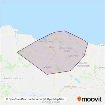 Bizkaibus coverage area map