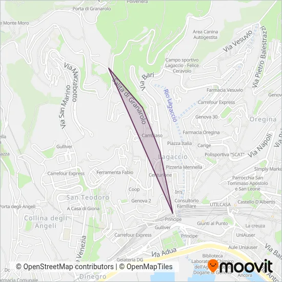 Area coperta dal servizio di AMT (Treno)