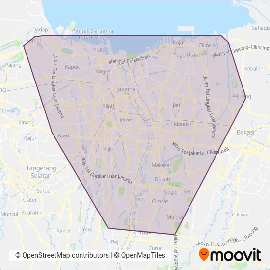 Transjakarta Microbus coverage area map