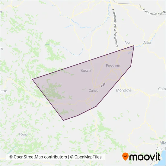 Nuova Benese Bus Lines coverage area map