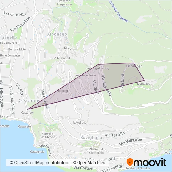 Area coperta dal servizio di Società Funicolare Cassarate-Monte Brè
