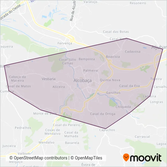 CHITA - Transportes Urbanos de Alcobaça coverage area map