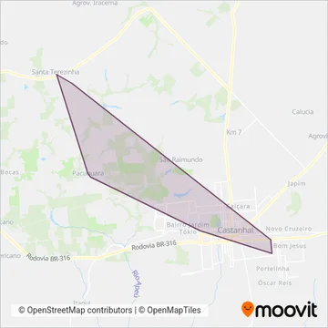 Transportes Cidade Nova coverage area map