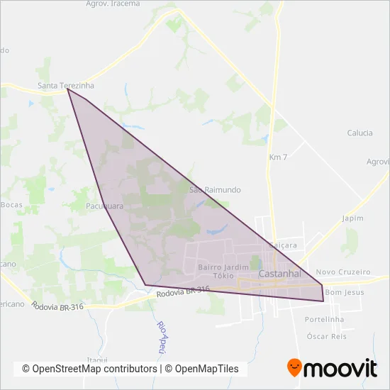 Transportes Cidade Nova coverage area map