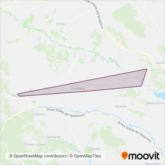 Area coperta dal servizio di Grassani